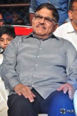 Sarrainodu Movie Blockbuster Function